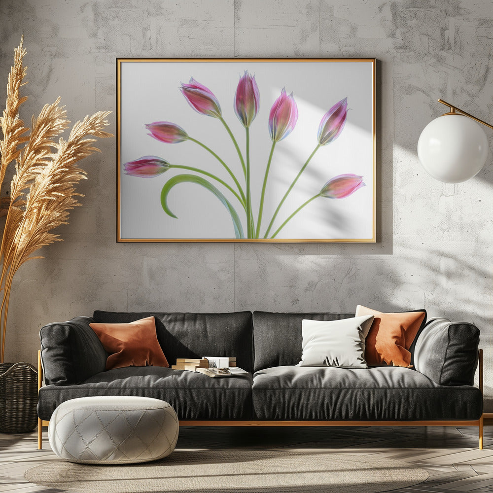 Tulp | Canvas