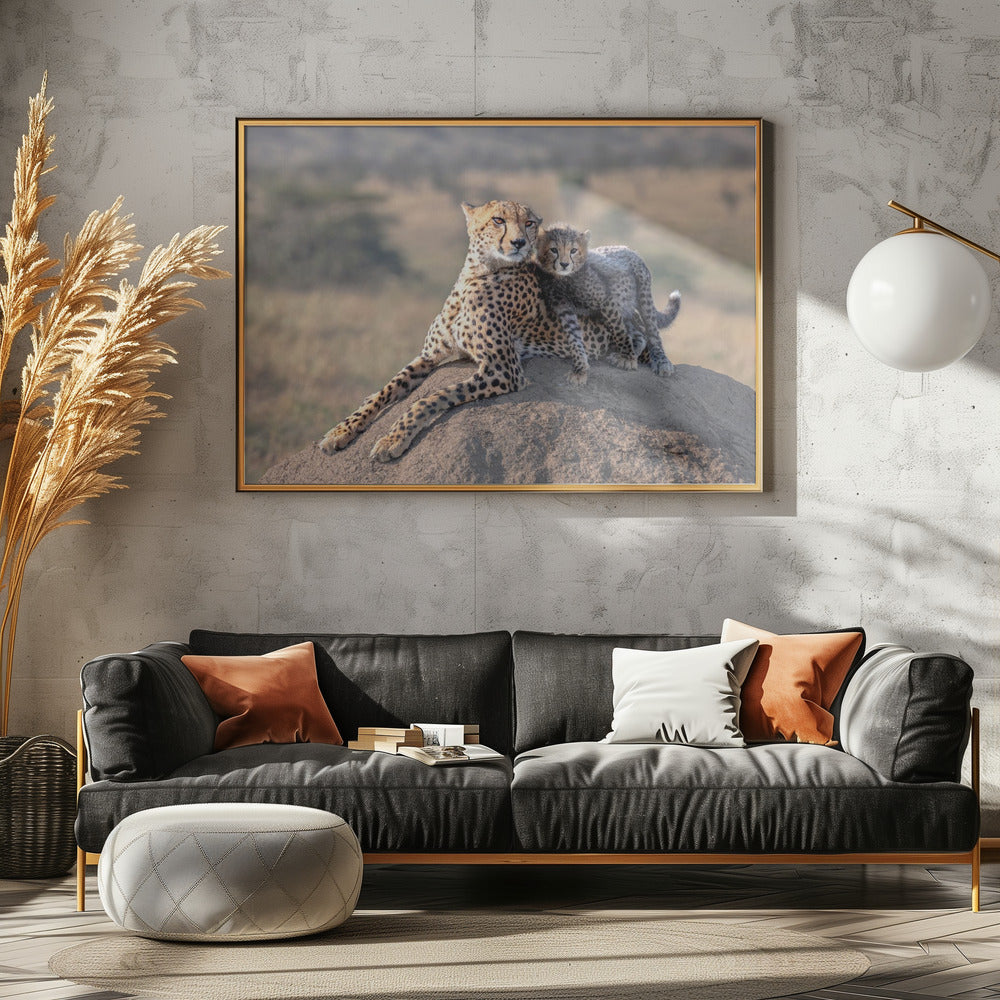 Cheetah en kopje! | Poster