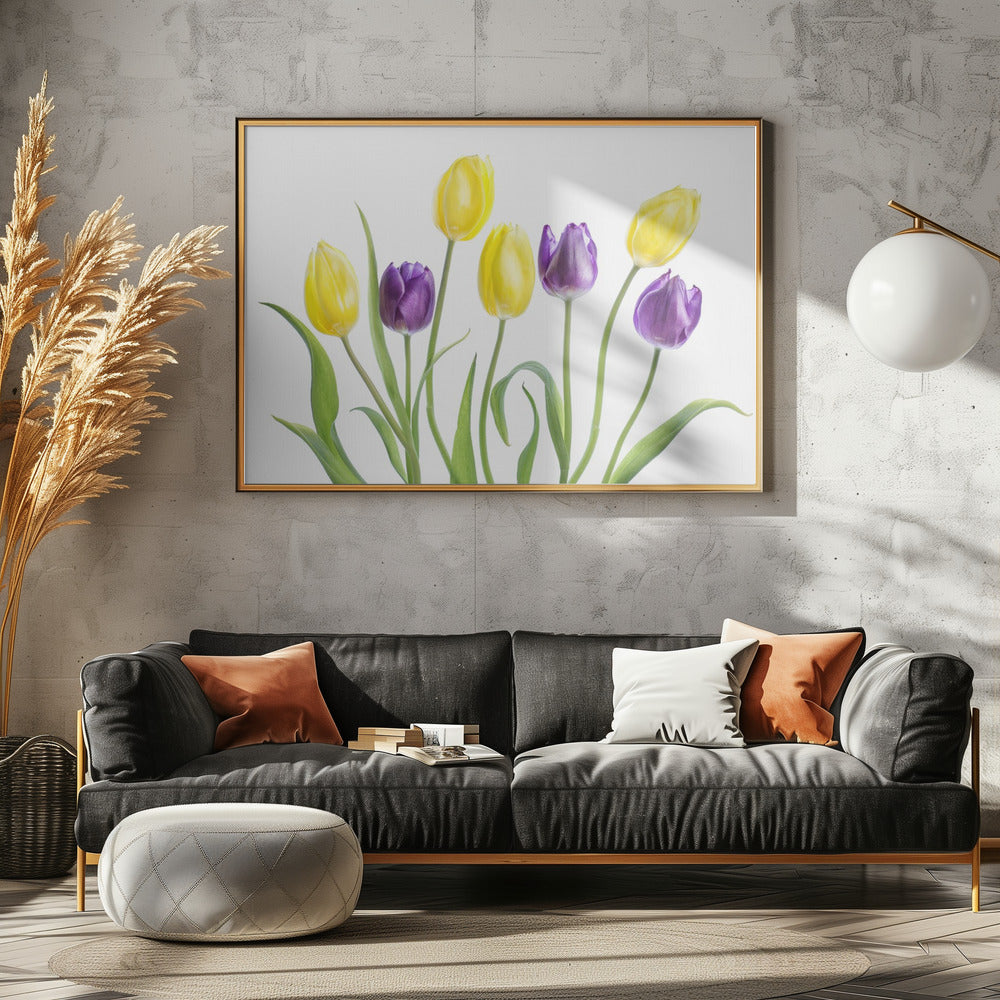 Tulp | Poster