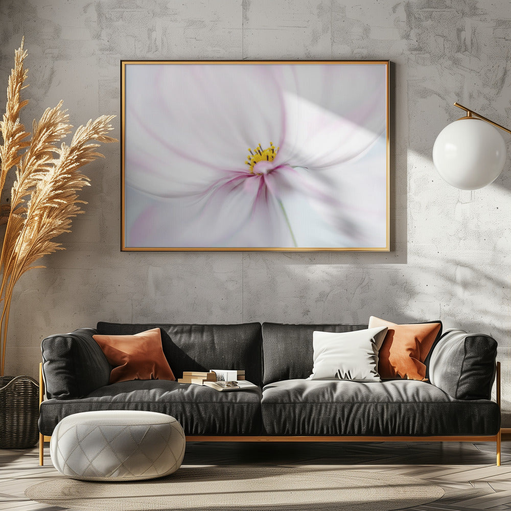Kosmos | Canvas