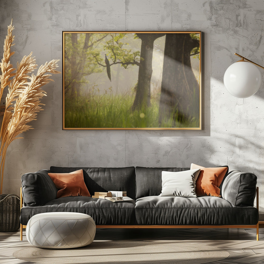 Pauw | Poster