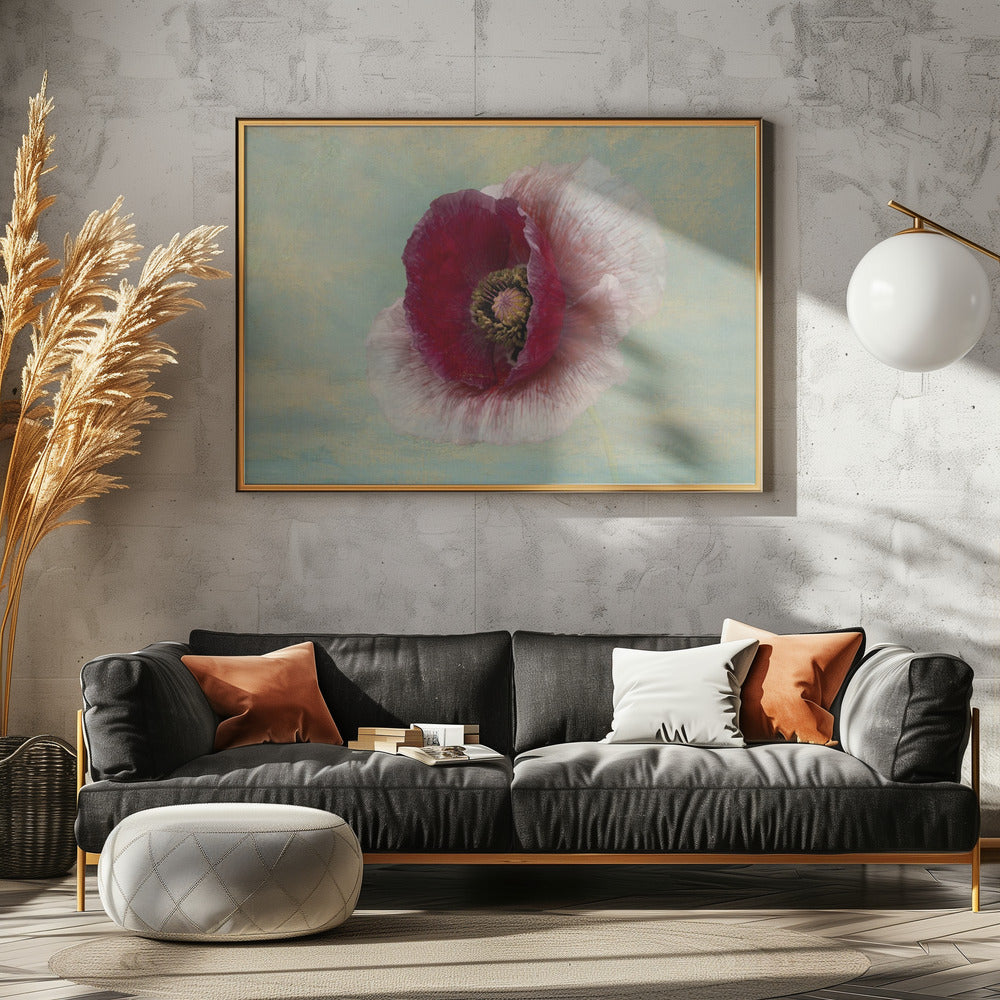 Bourgondische Bonnet | Canvas