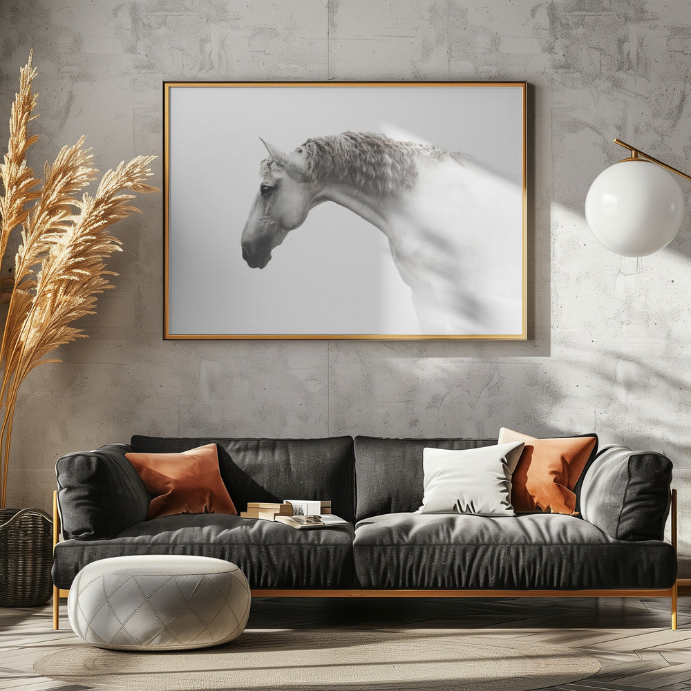 Krullend haar… | Canvas