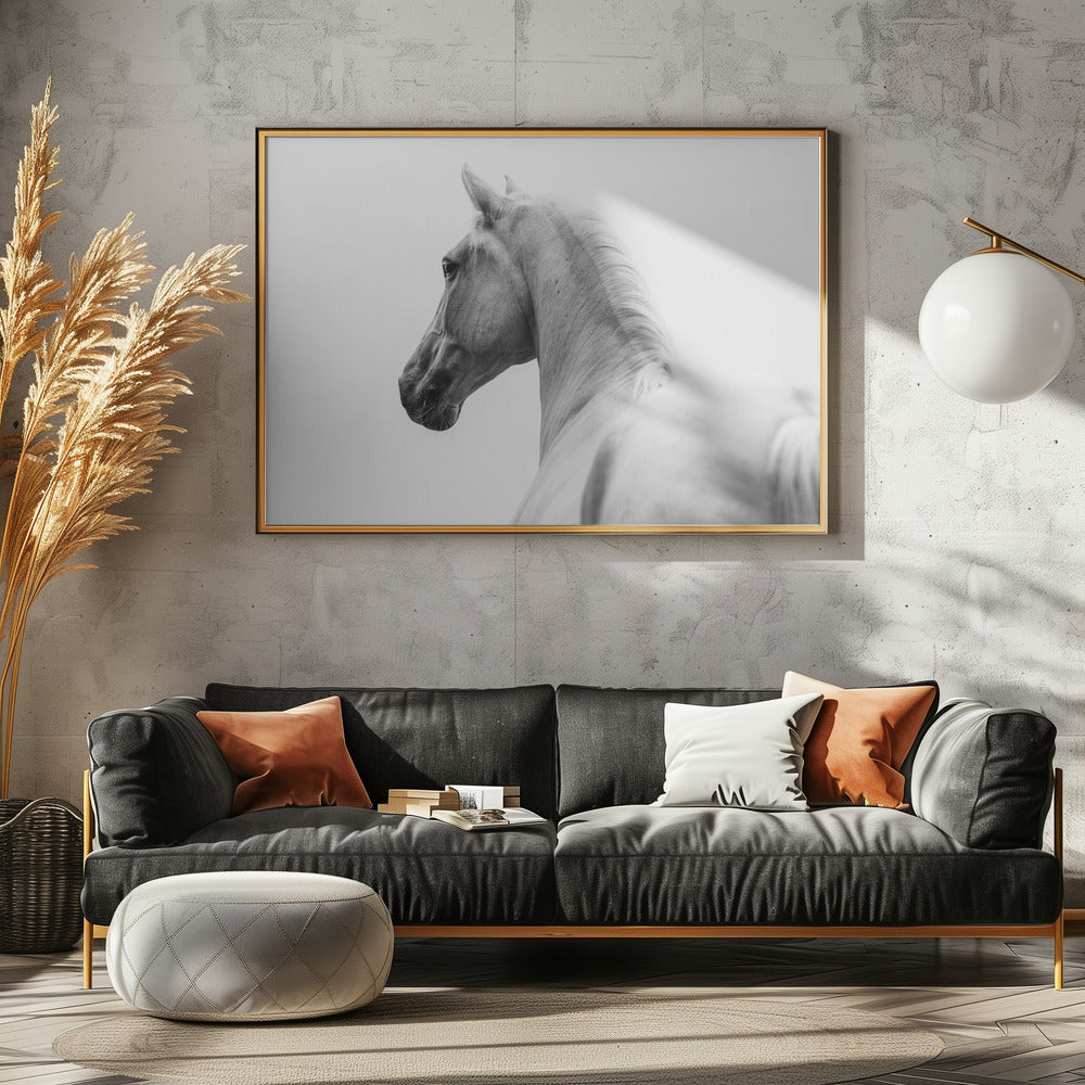 een kort verhaal over een geschoren paard | Poster