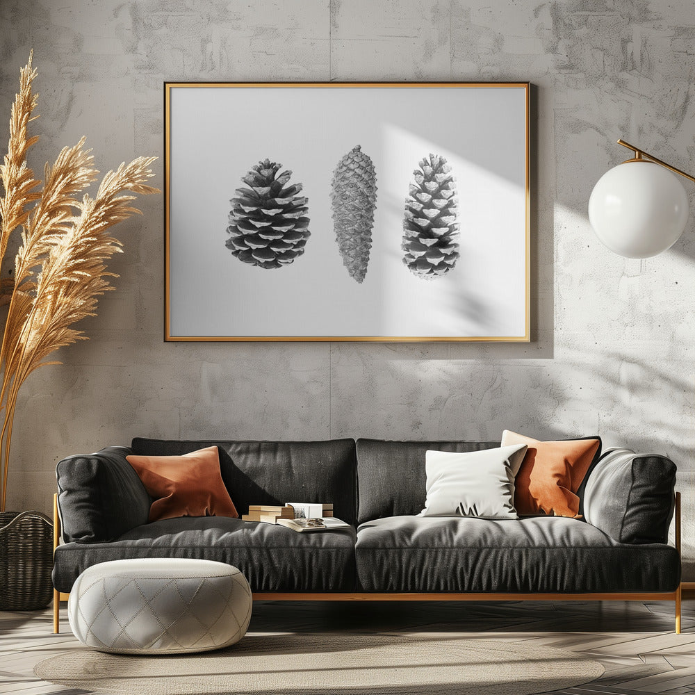 Dennenappelstudie | Canvas