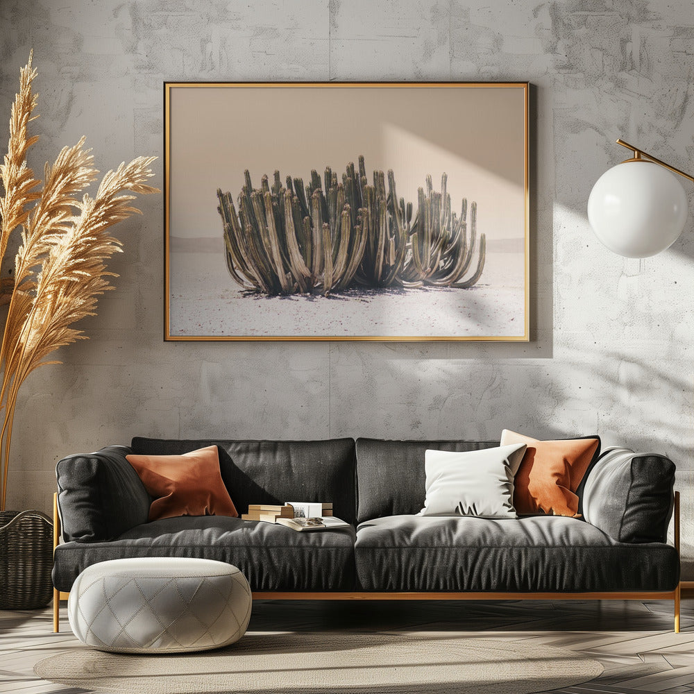 Perzikhemelcactus | Canvas