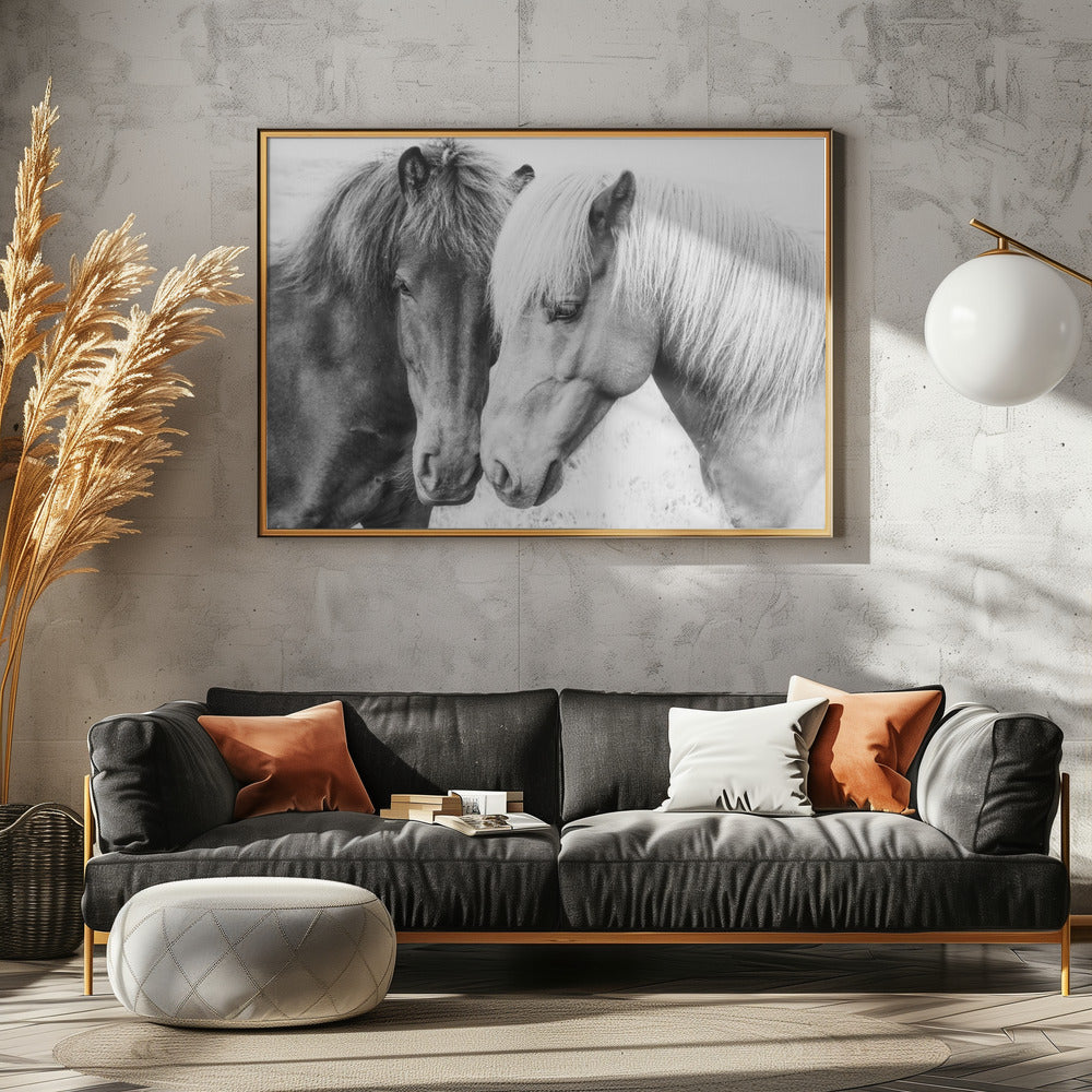 Paardenliefde | Canvas