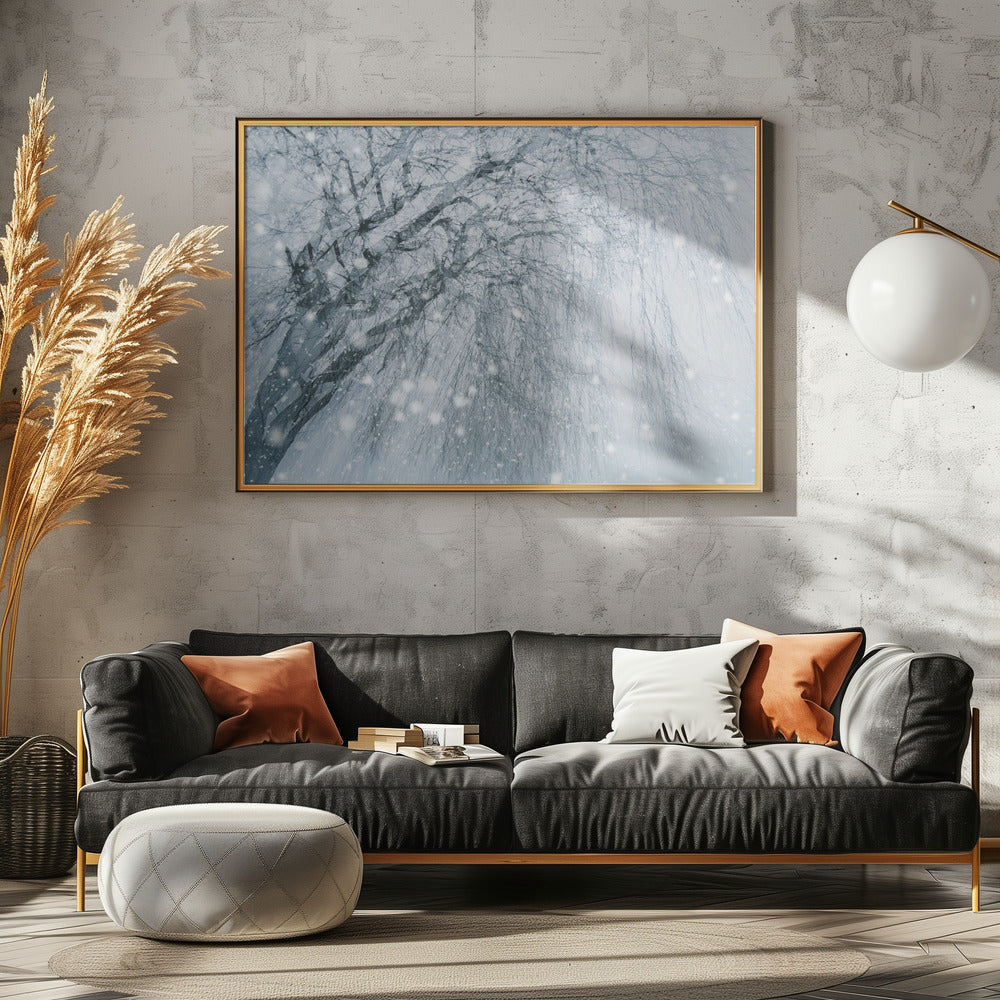 Winterboom | Poster