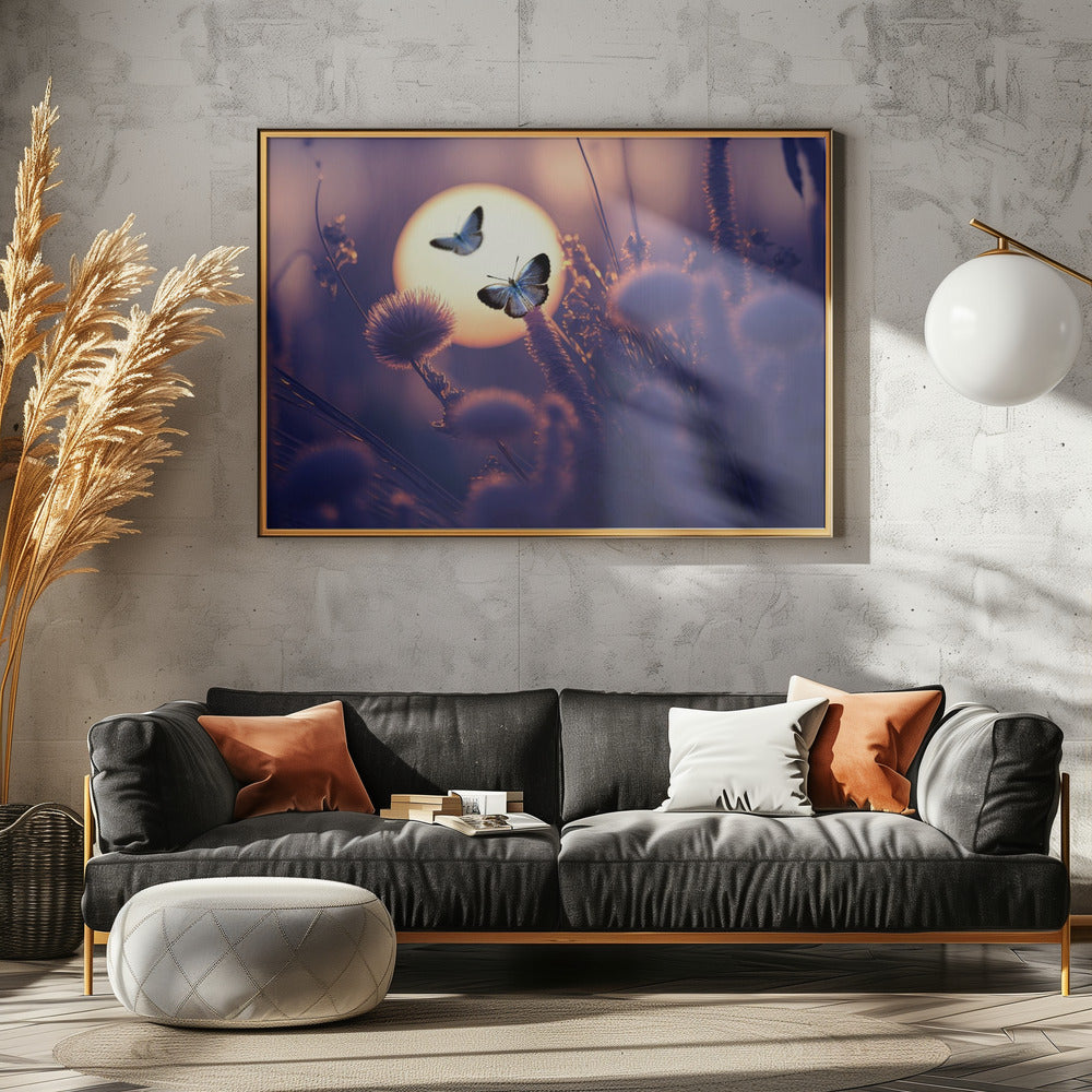 Geloof dat je kunt vliegen | Canvas