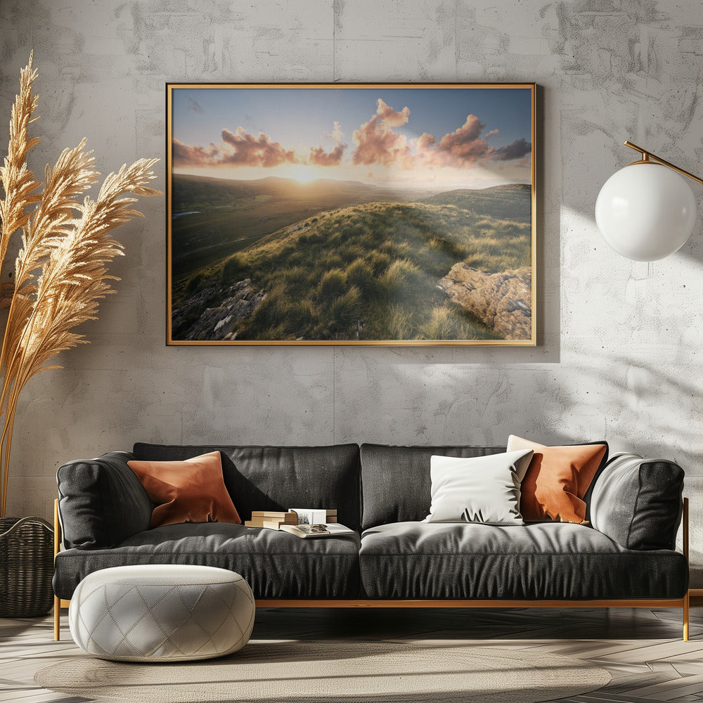 Zachte Weide | Poster