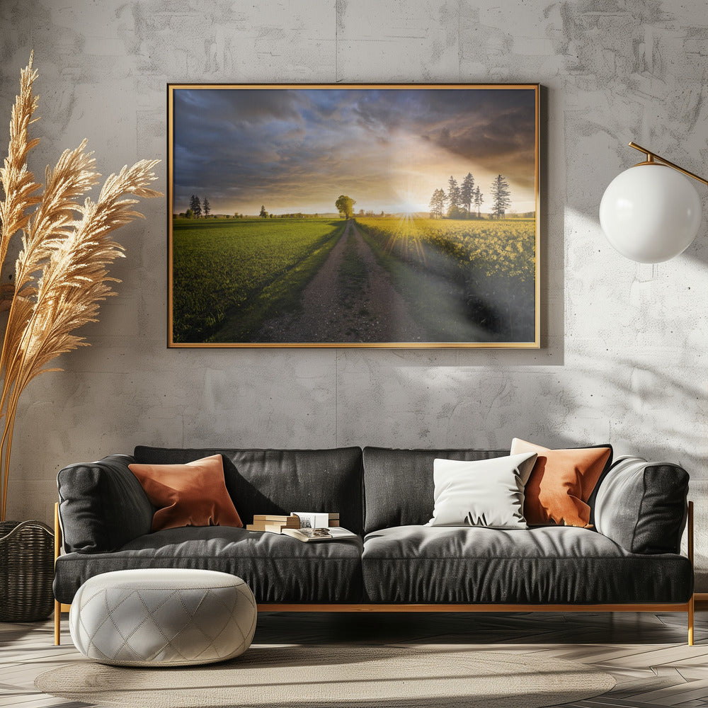 Zomerweide | Poster