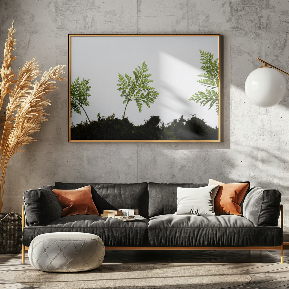 Varendetail | Canvas