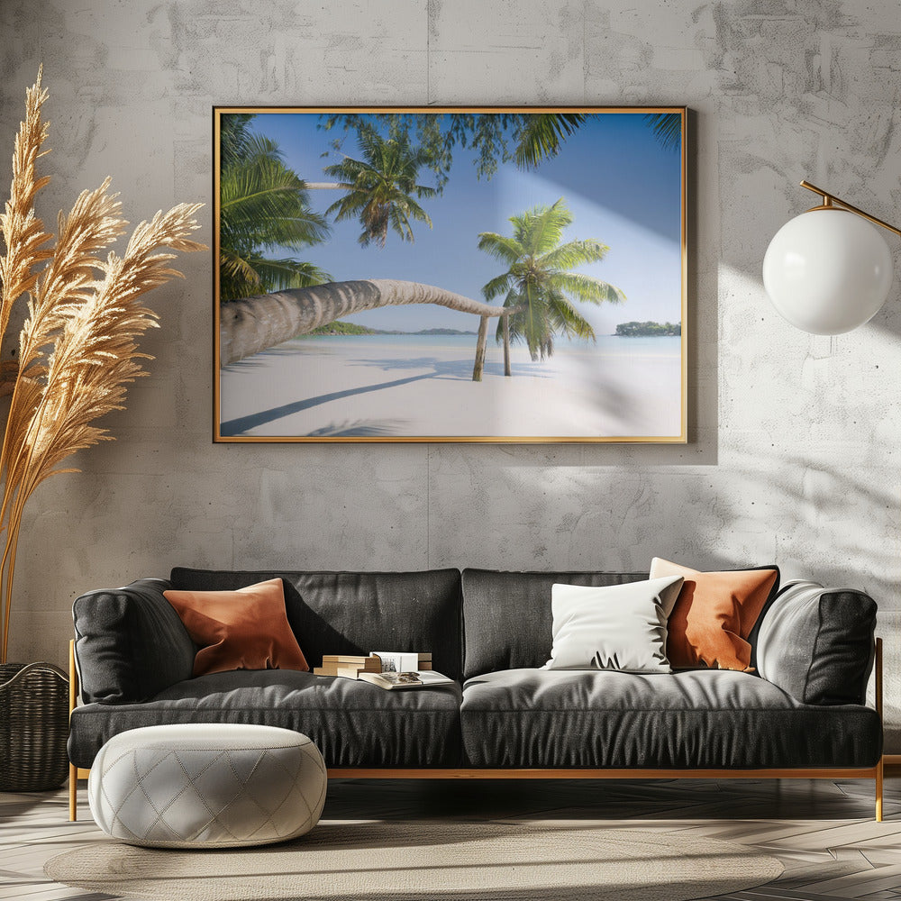 Tropische palm | Poster