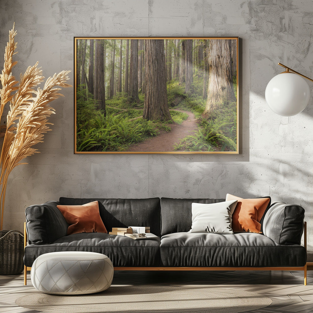 Lost World | Canvas