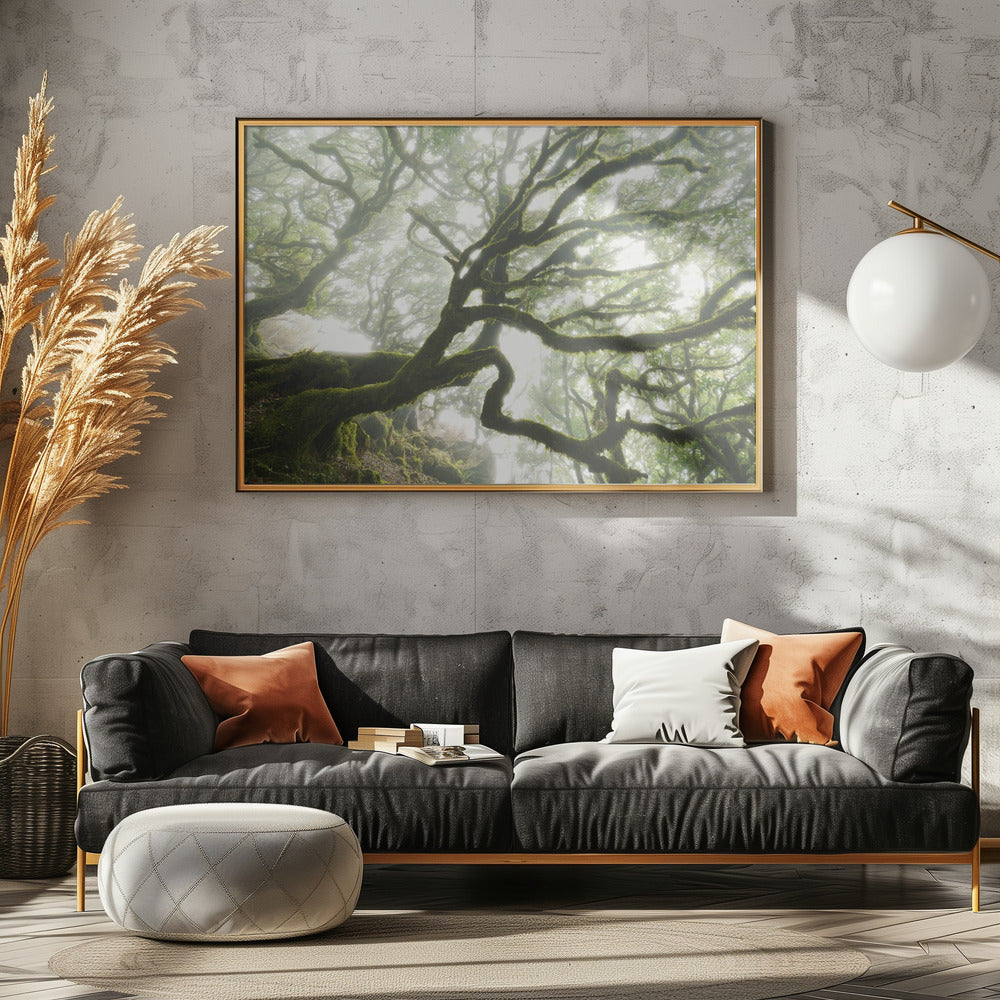 Magic Moment | Canvas