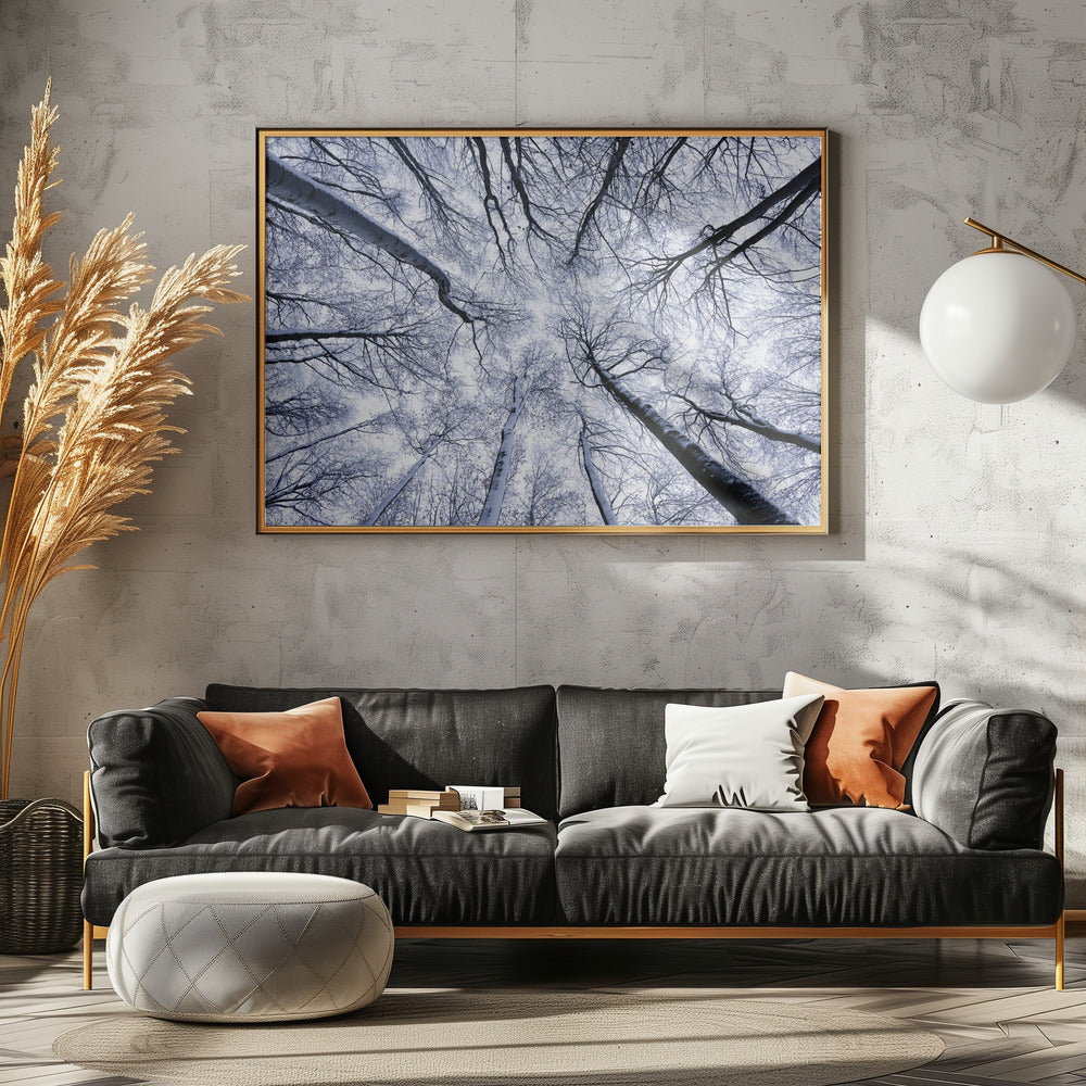 Up II | Canvas