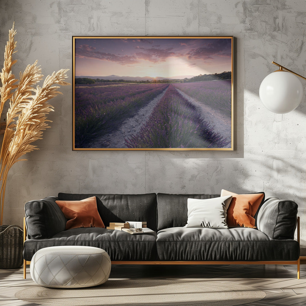 Paarse Provence | Canvas
