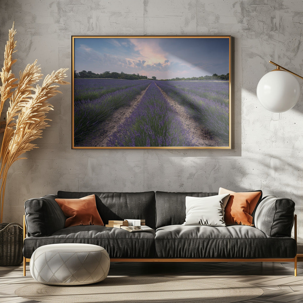 Blauwe Lavendel | Canvas