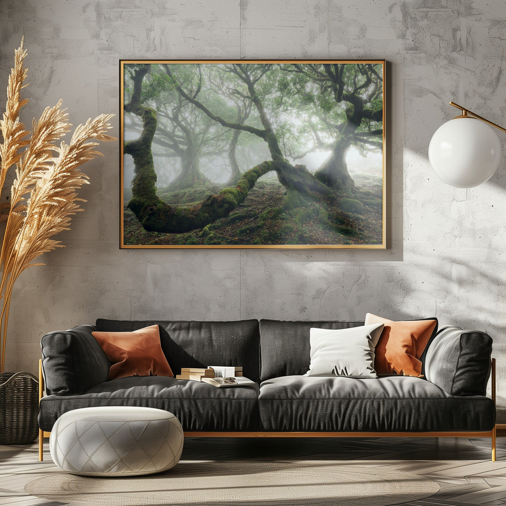 Mystiek Laurierbos | Canvas