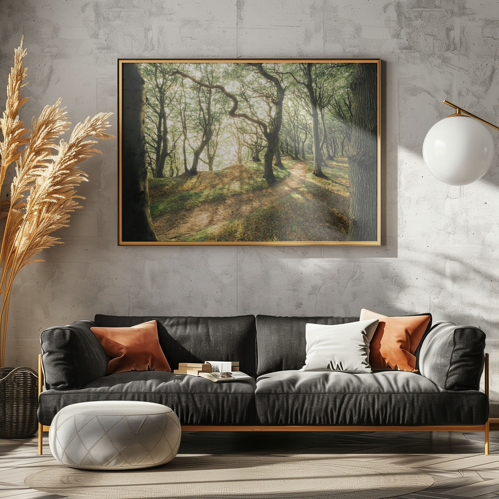 Magisch beukenhout | Canvas