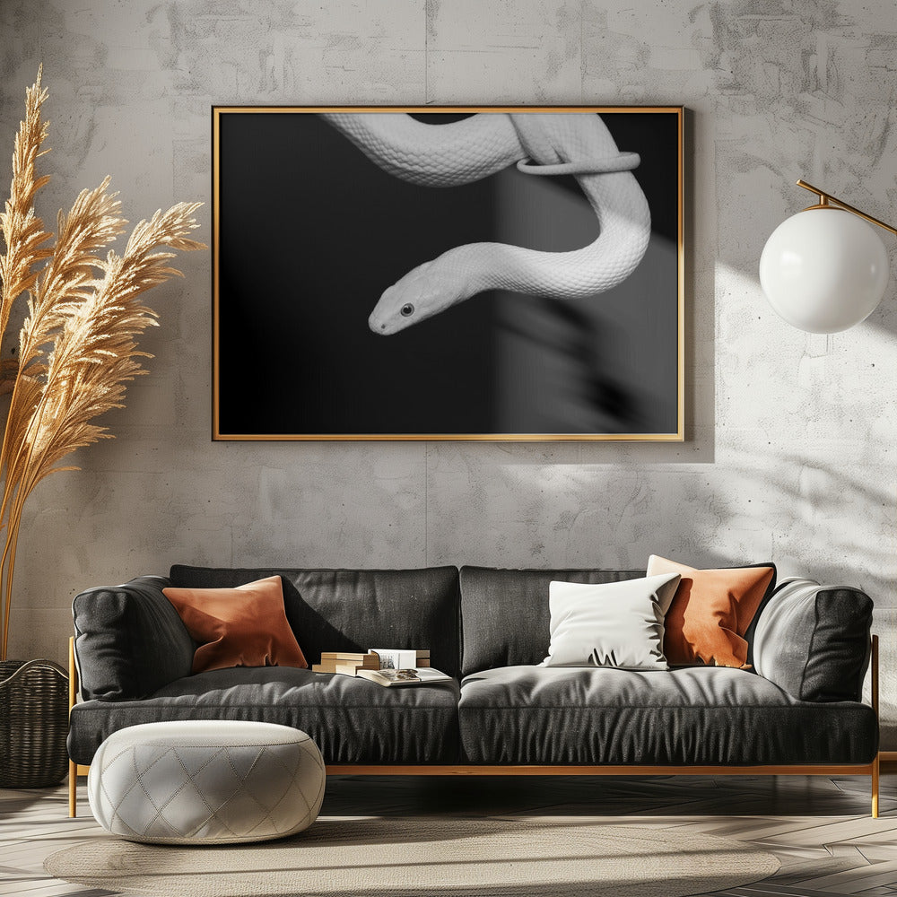 Slang Blanc | Canvas