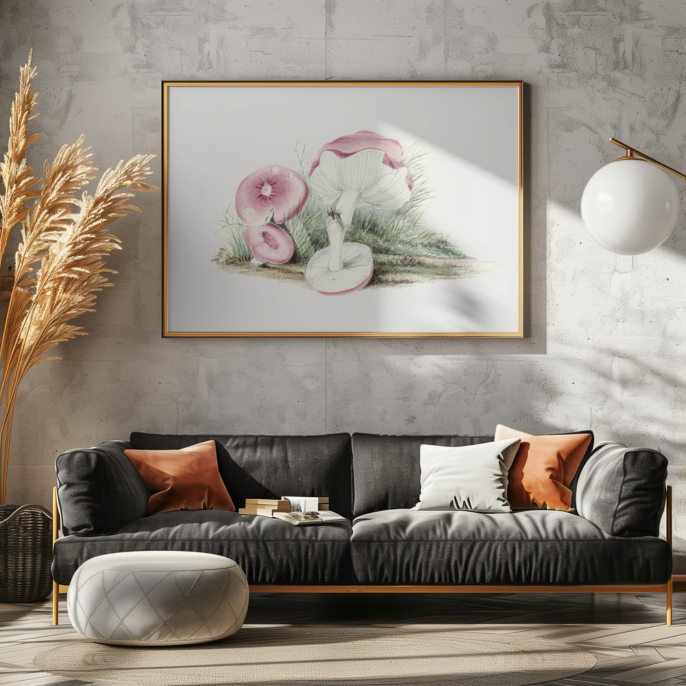 Vintage Russula Emetica Paddenstoel | Canvas