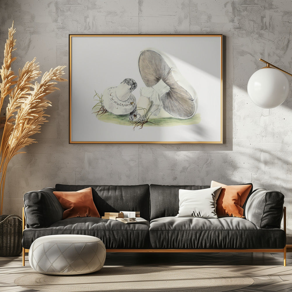 Handgetekende paardenpaddestoel | Canvas