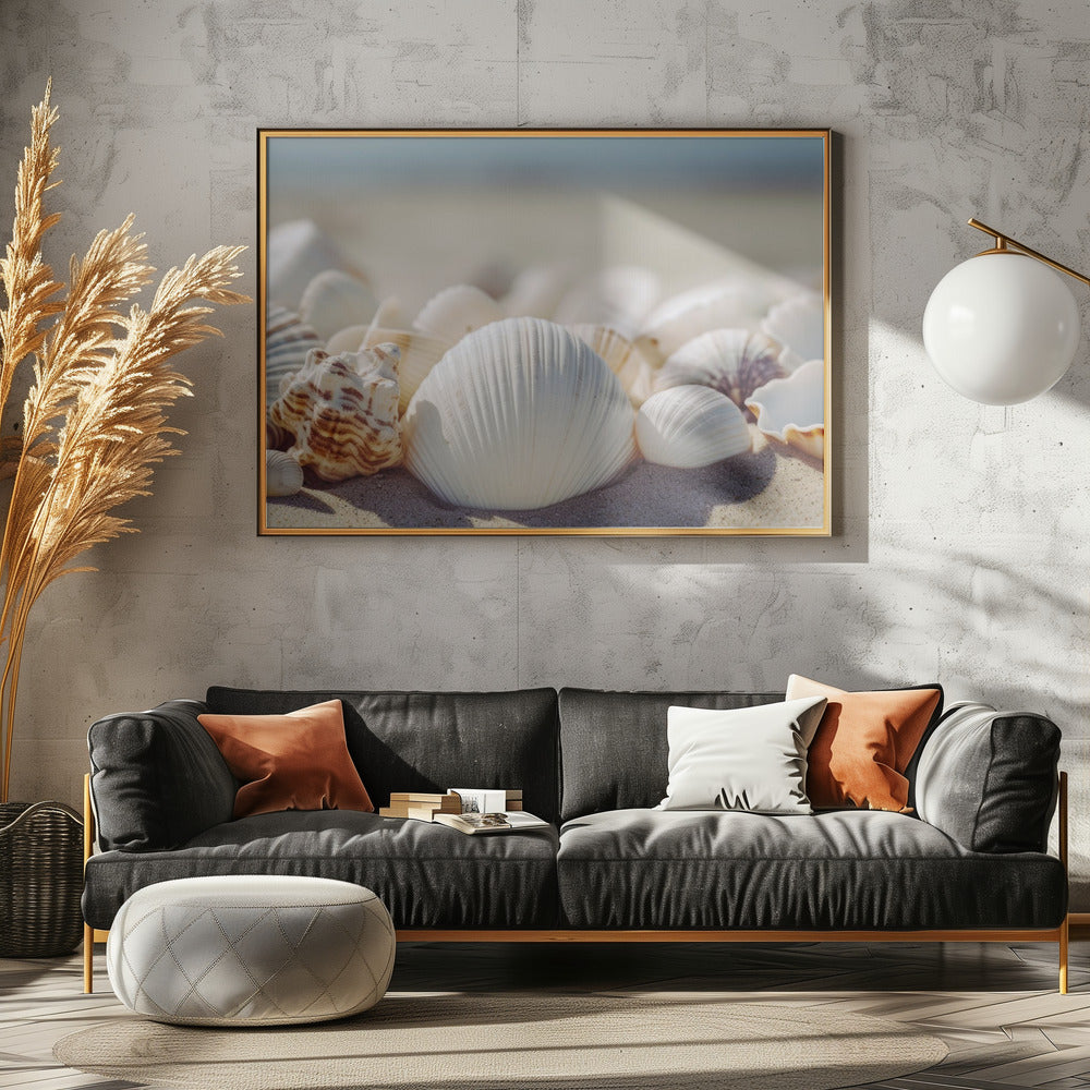 Seaside Shells | Poster