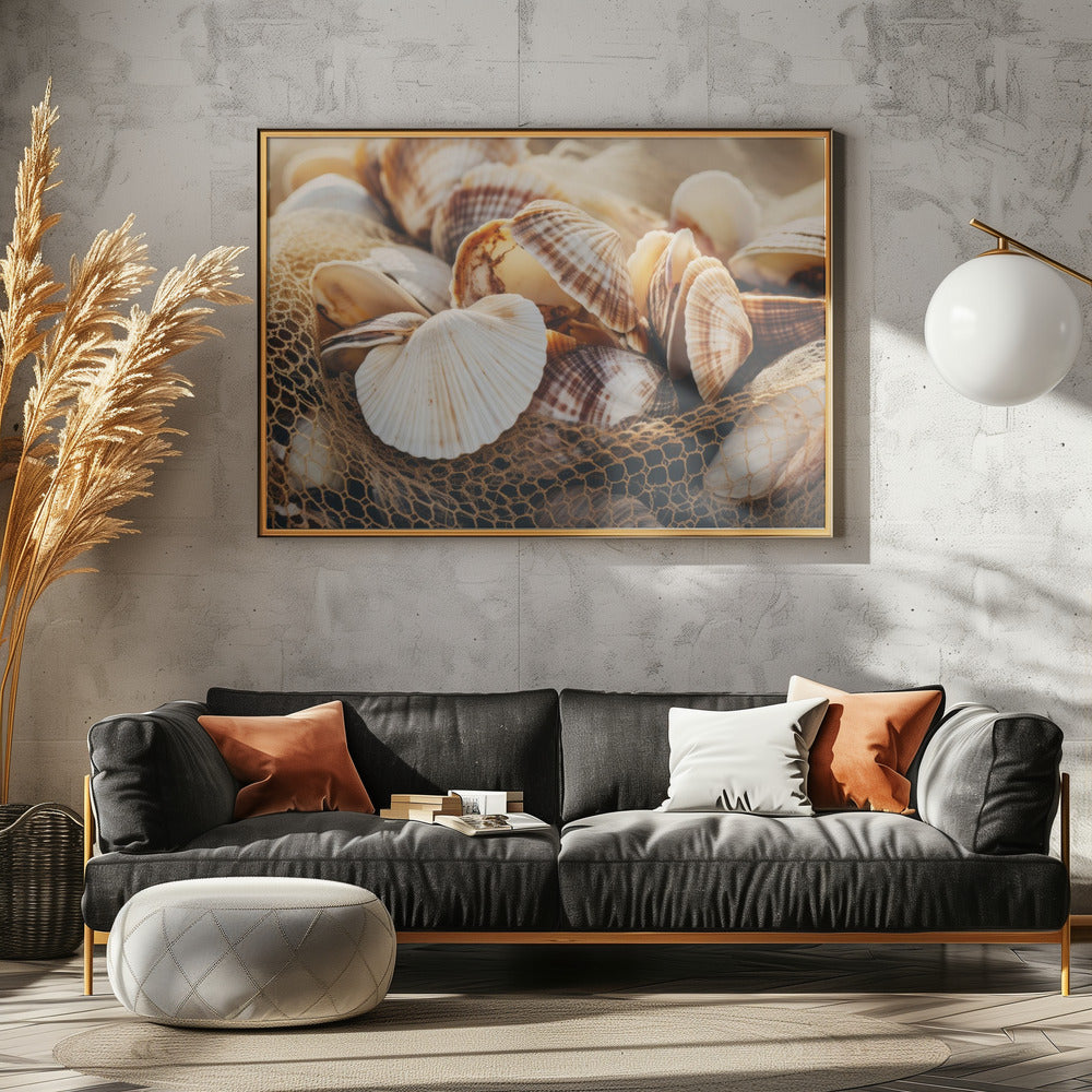 Schelpensymfonie | Canvas