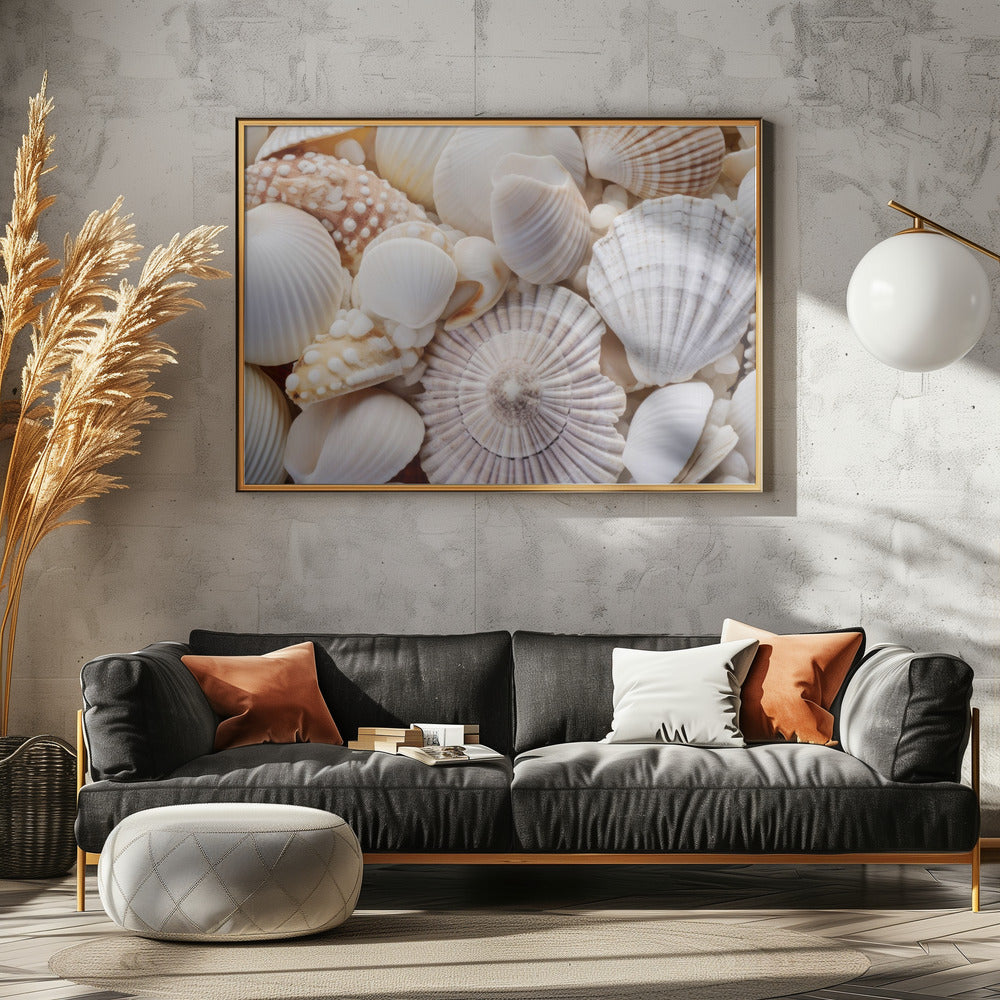 Schelpensymfonie | Canvas