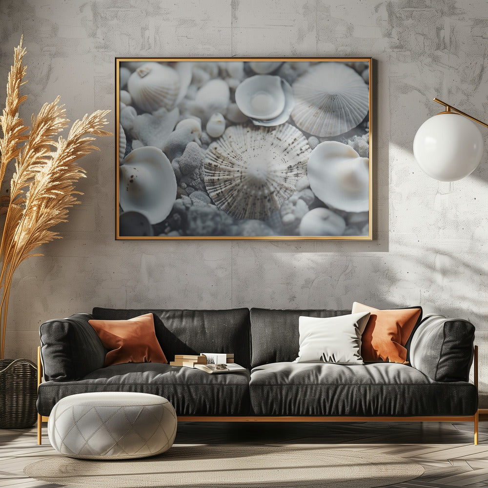 Seashell Symphony | Poster