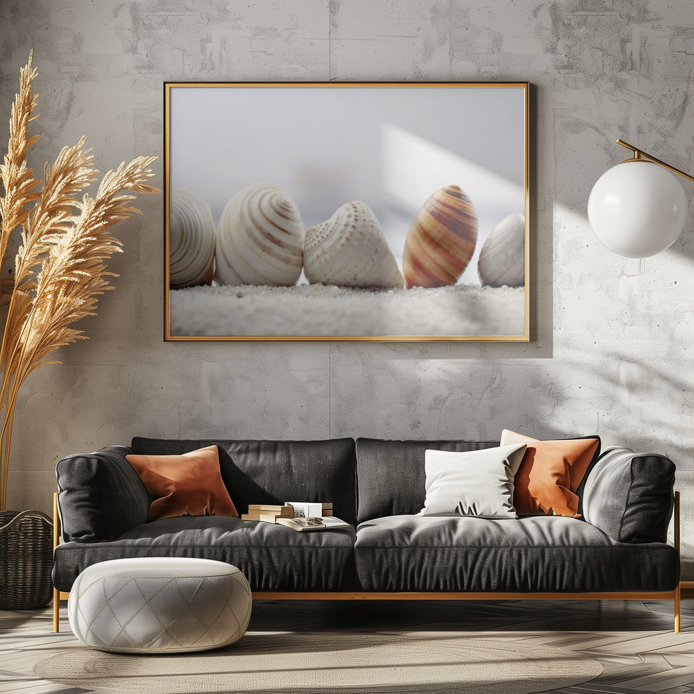 Schelpensymfonie | Canvas