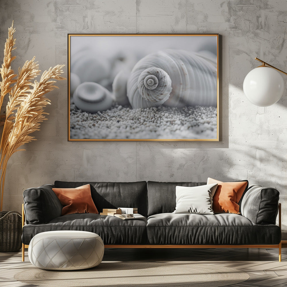 Seashell Serenity | Poster