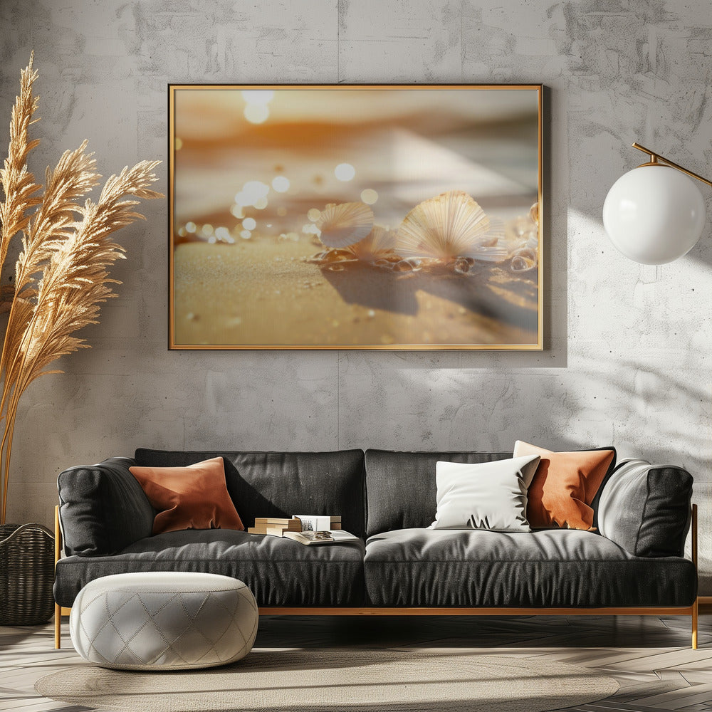 Zonovergoten schelpen | Poster