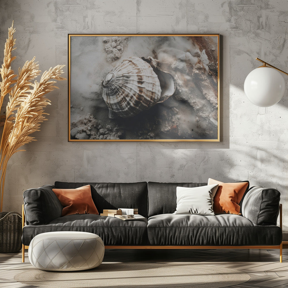Seashell Serenity | Poster