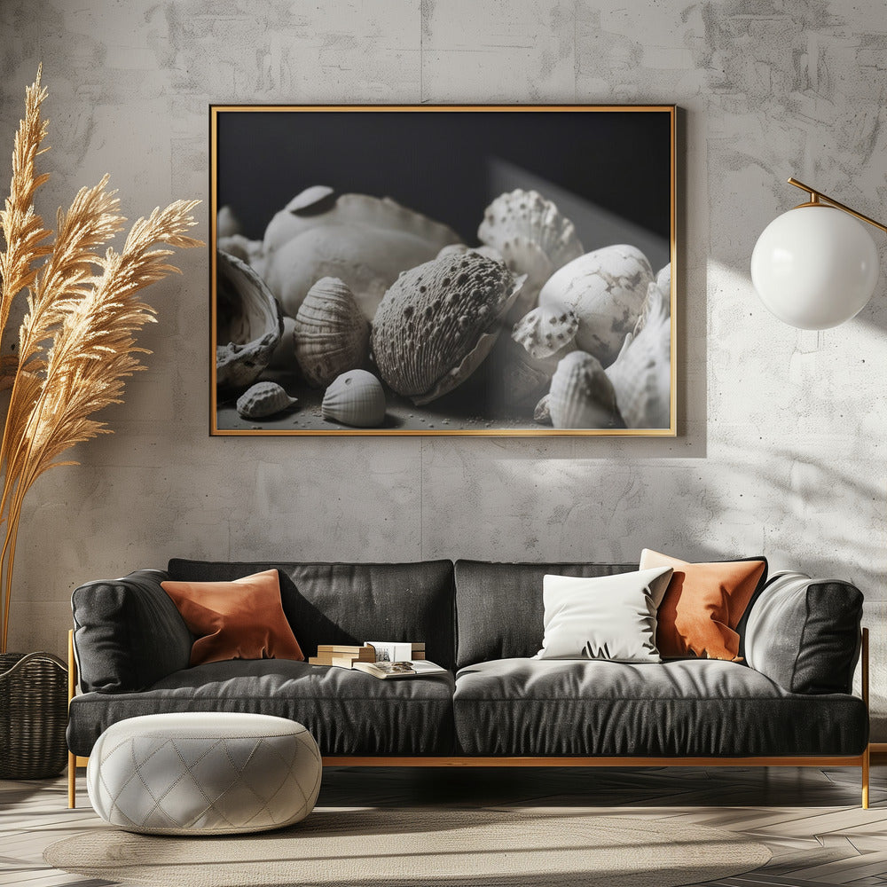 Shell Symphony | Poster