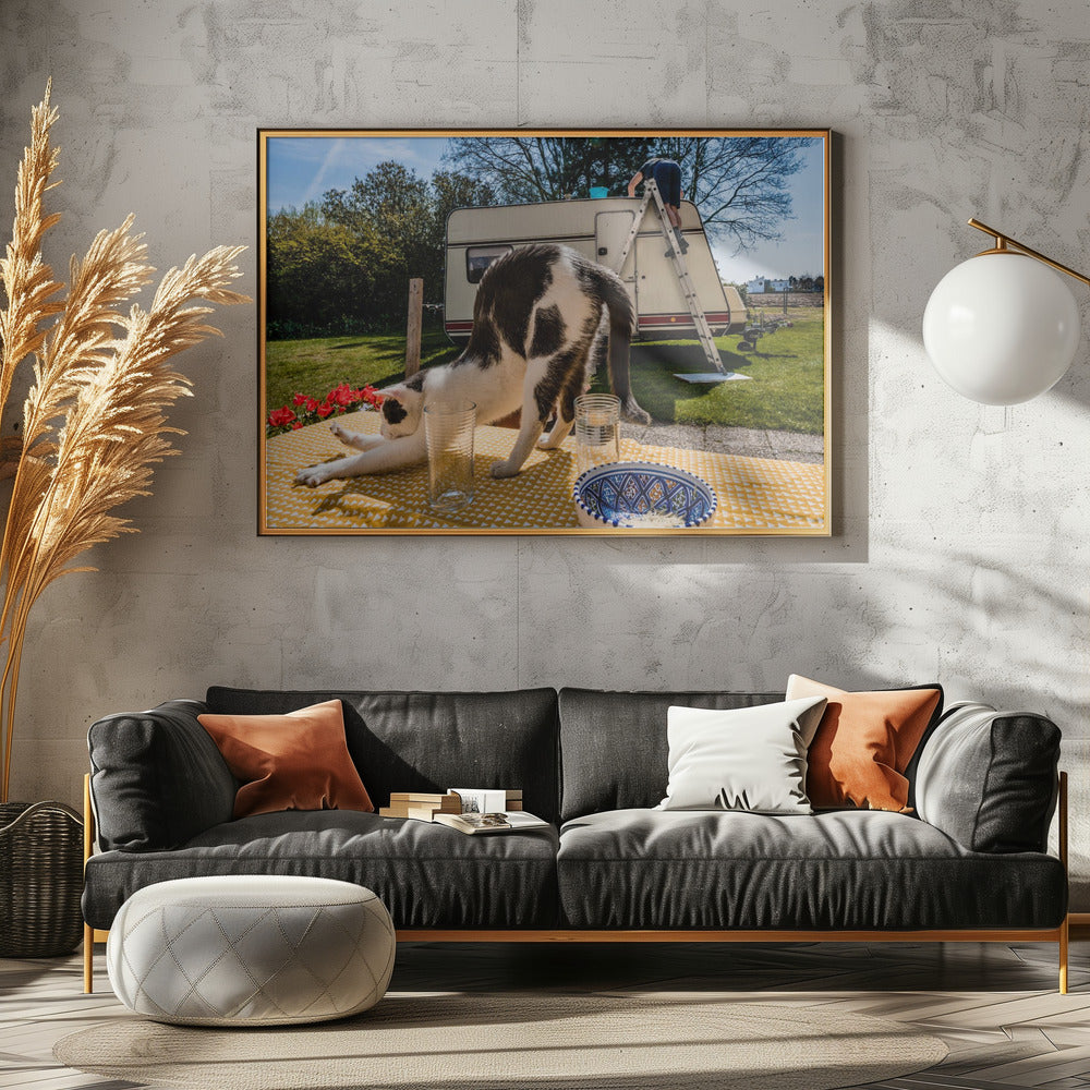 Vergelijkbare poses... | Canvas