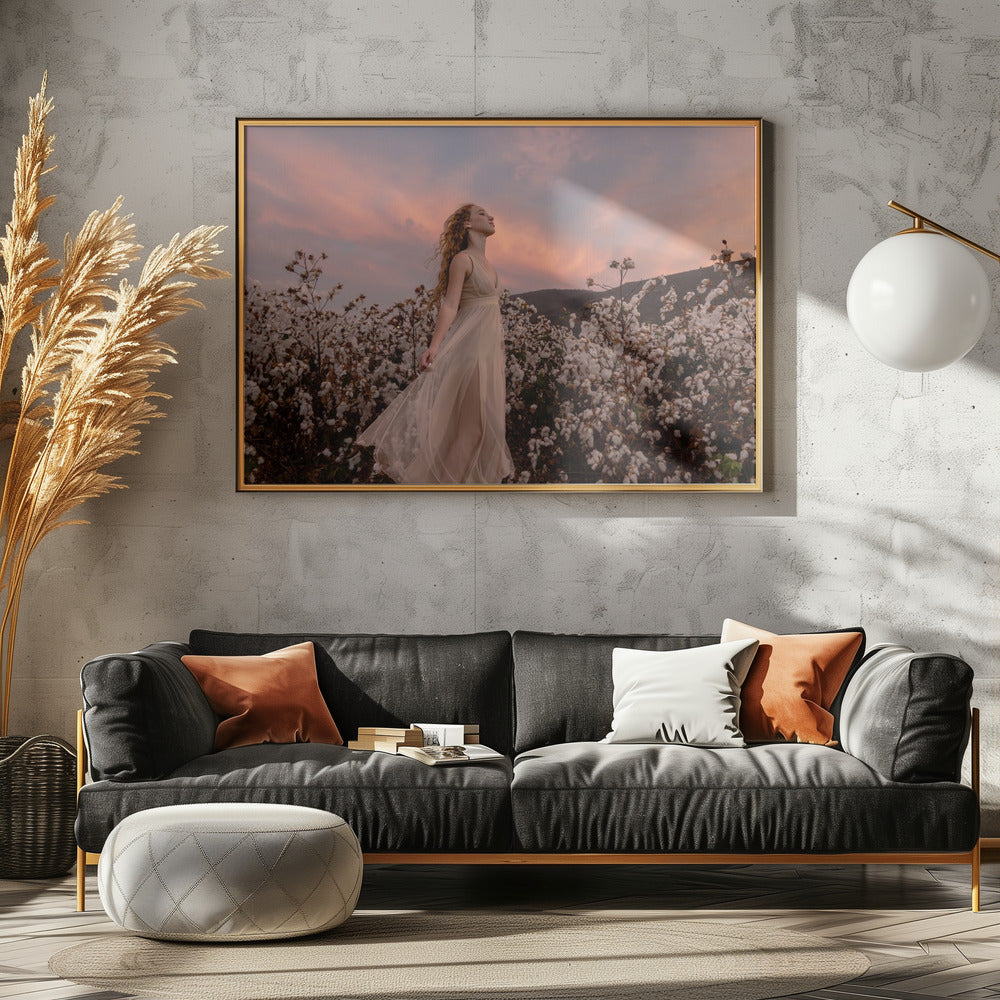 Zonsondergang in het katoenveld | Poster
