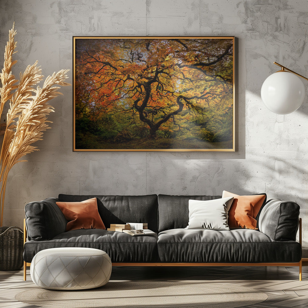 De esdoorn | Poster