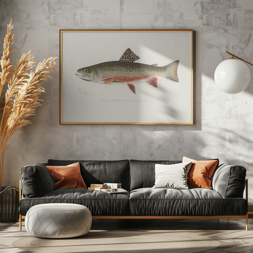 Mannelijke beekforel | Canvas