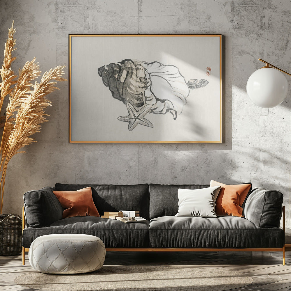Zeester en schelp | Canvas