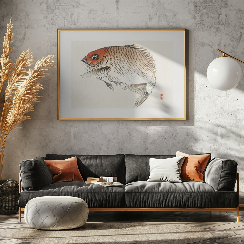 Tai (rode zeebrasem) vis | Canvas