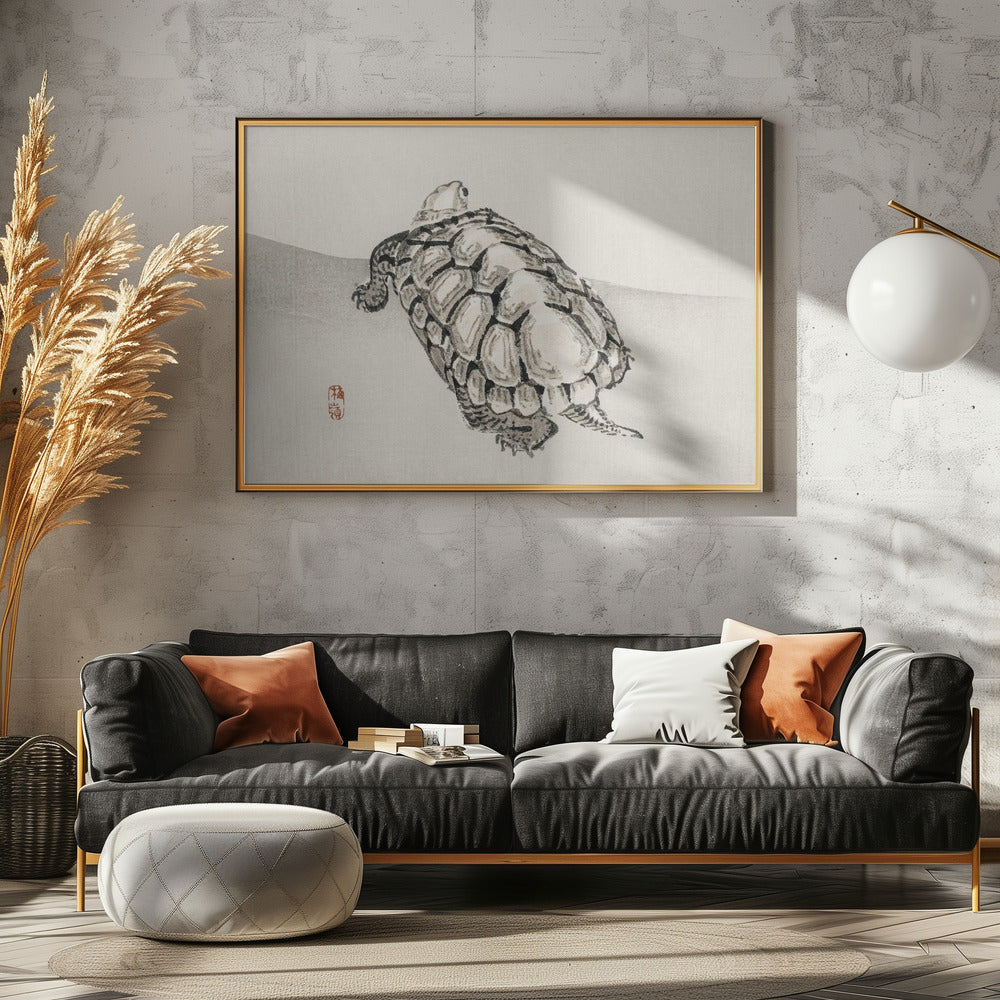 Schildpad | Canvas