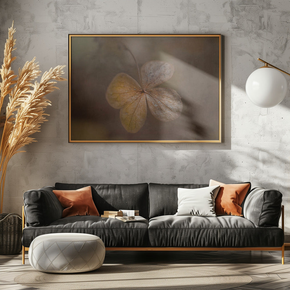 restanten van de dag | Canvas