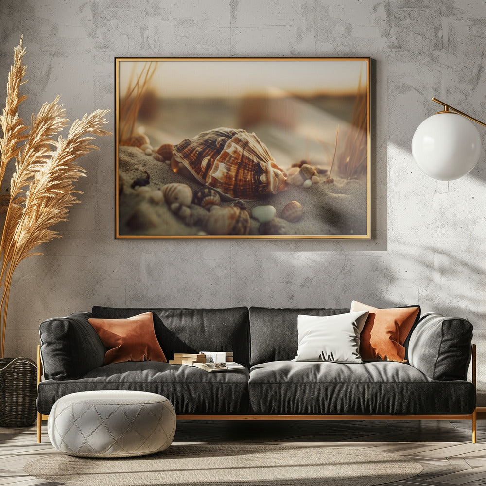 Shells at Sunset | Poster