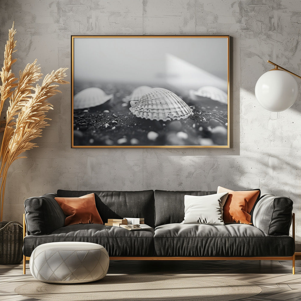 Zeeschelpensereniteit | Poster