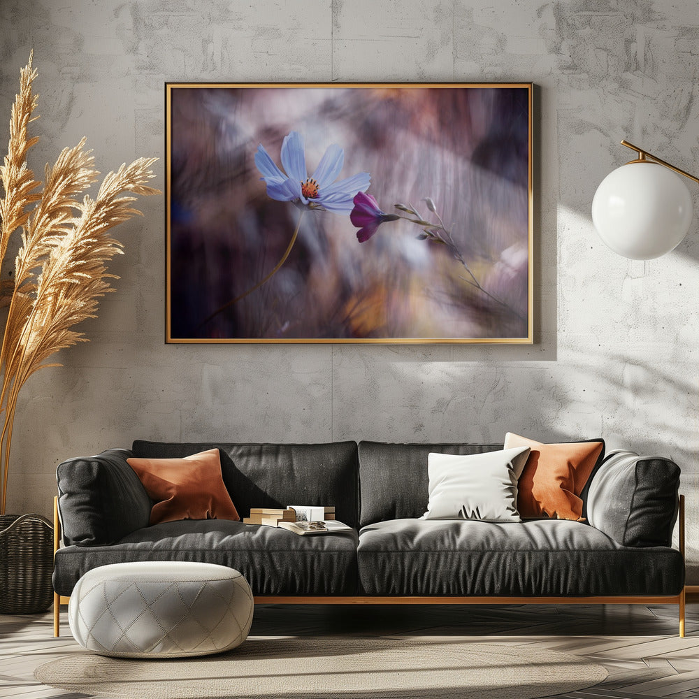 De ontmoeting | Canvas