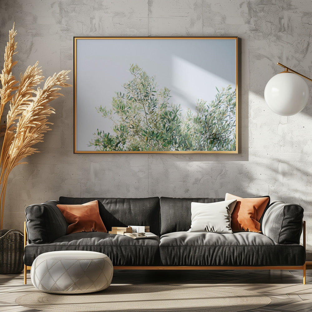Olijven in Ostuni | Reisfotografie Italië | Canvas