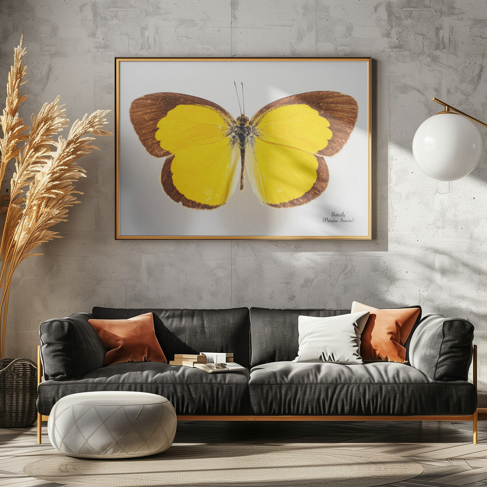 Vlinder - 2 | Canvas