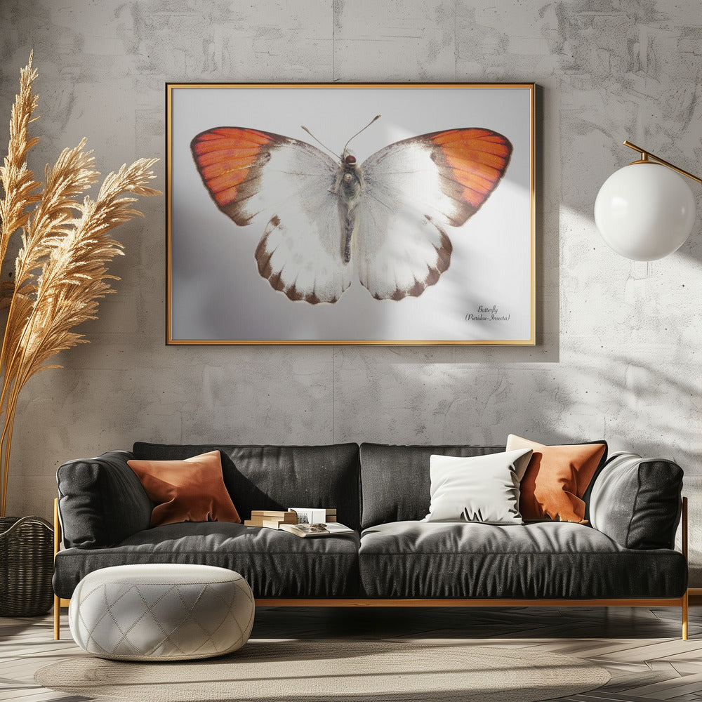 Vlinder - 3 | Canvas